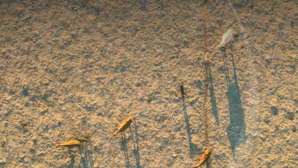 Every drop of kindness makes a difference in drought