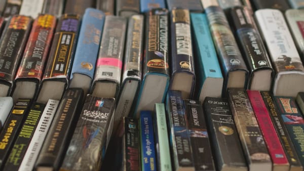 Three Ways The Chronicle Lifeline Bookfest Helps The Local Community